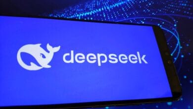 Deepseek claims the 545 % "theoretical" profit margins